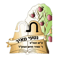 נטעי מאיר